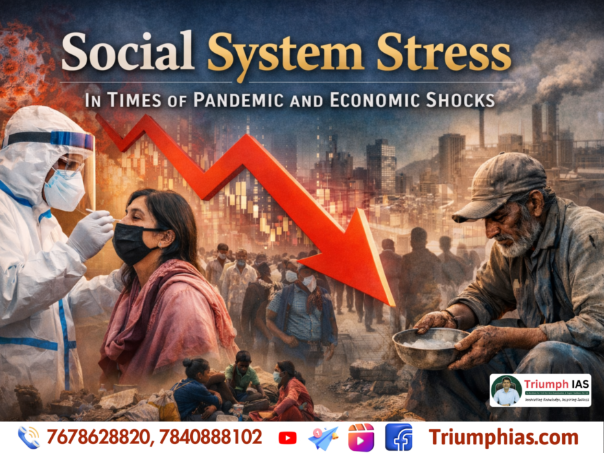 Social System Stress in Times of Pandemic and Economic Shocks